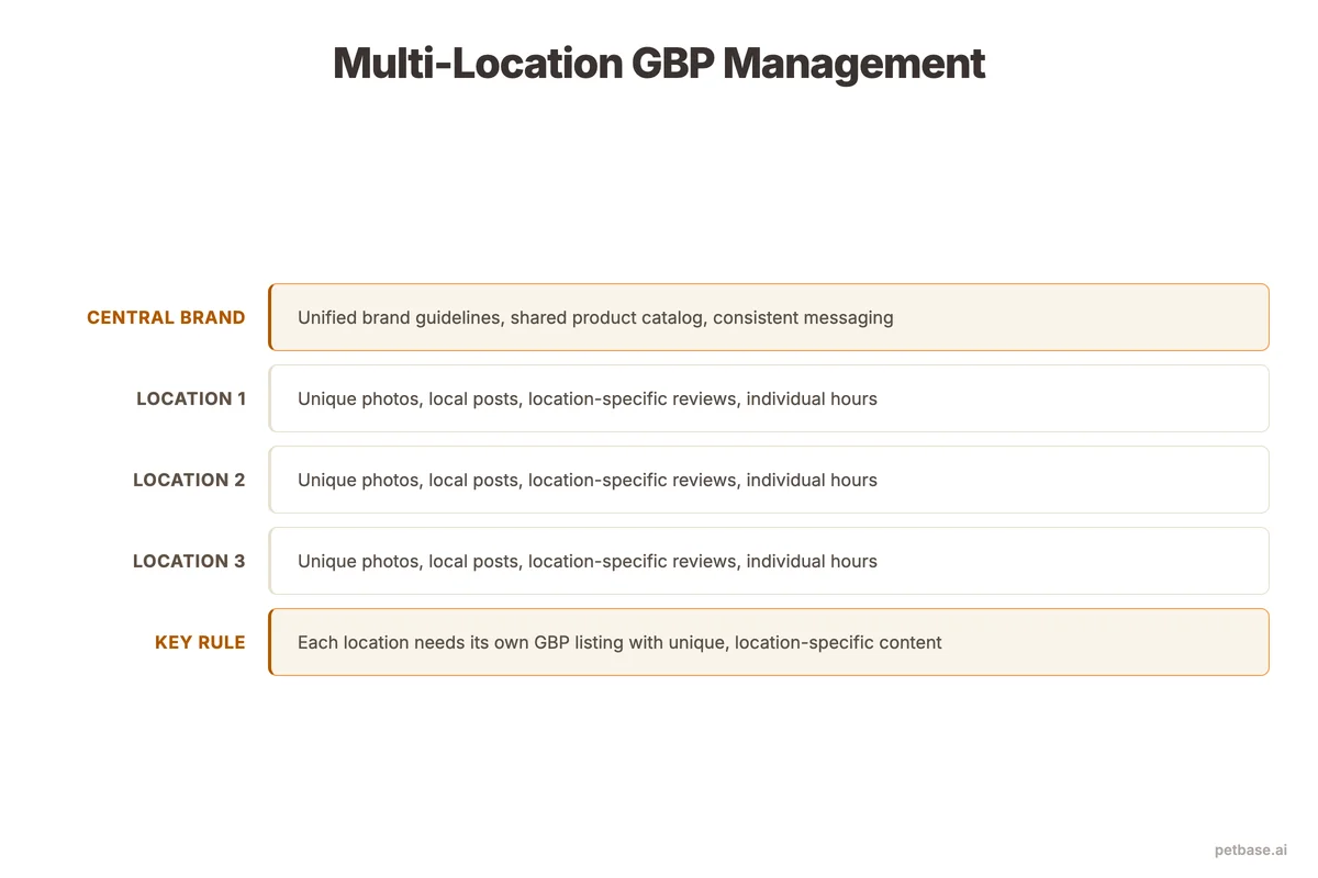 Multi-location GBP management diagram showing central brand connected to individual location profiles