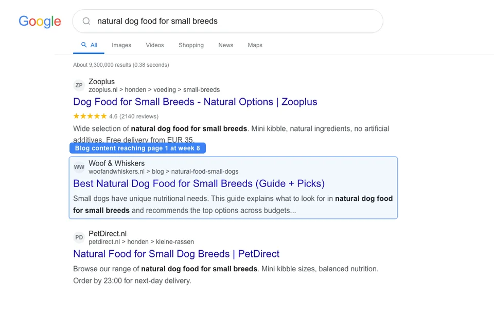 Google search results for natural dog food Netherlands showing a pet store climbing to position 8 after consistent content publishing over three months