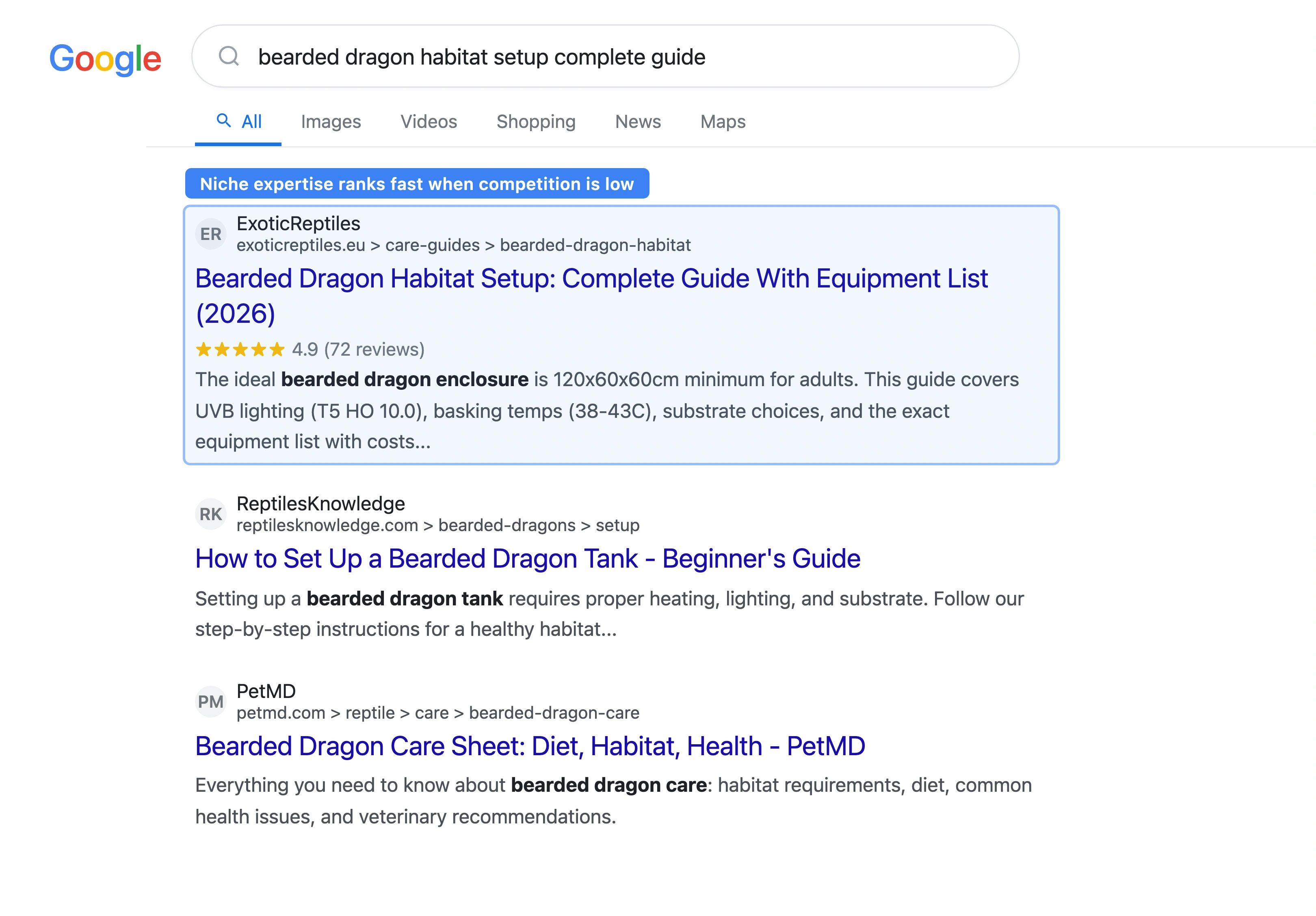 Google search results for bearded dragon habitat setup showing specialist exotic pet content ranking with minimal competition