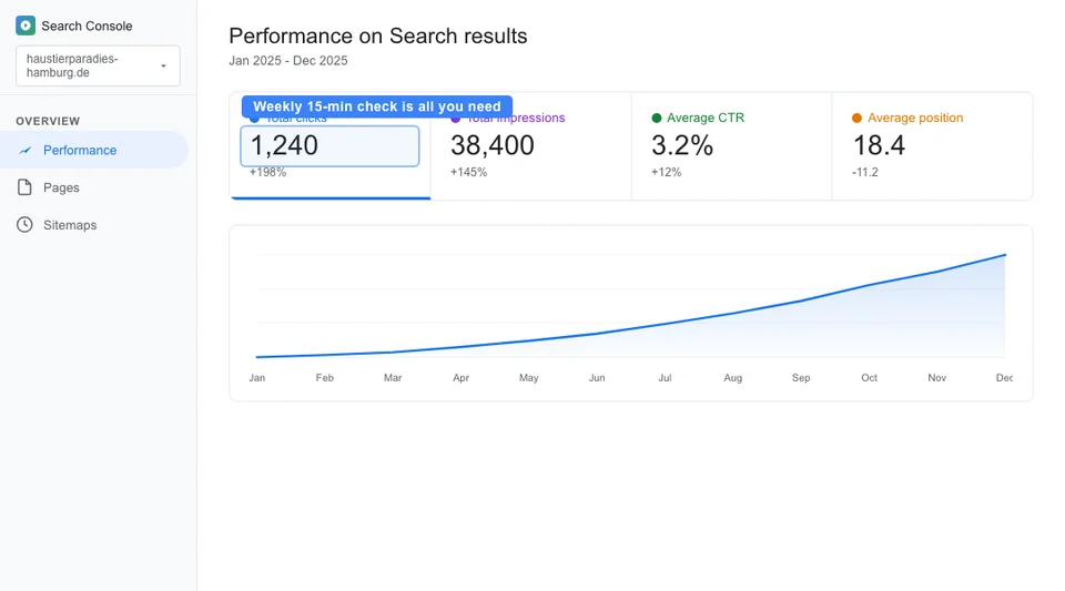 Google Search Console performance dashboard for a pet store showing total clicks of 1240 per month, 38400 impressions, 3.2 percent CTR, and average position 18.4 with an upward trend line over 12 months