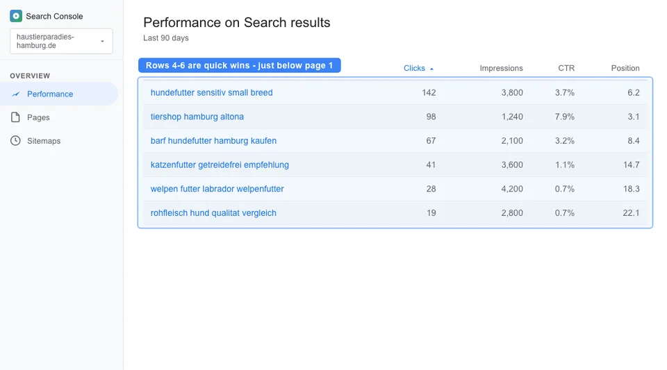 Google Search Console query report for a pet store showing top ranking keywords with clicks, impressions, CTR, and position data highlighting quick win opportunities on page 2