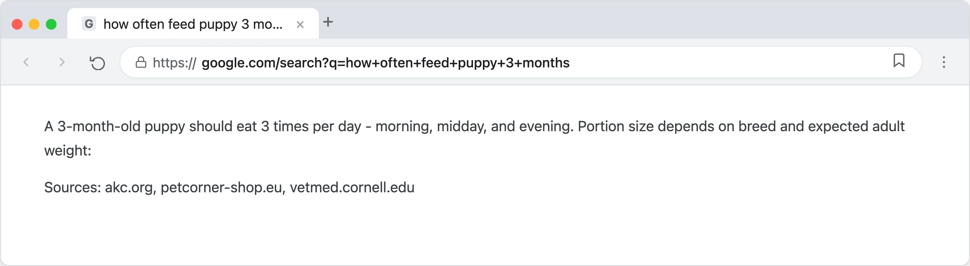 Google search results page showing a complete answer about puppy feeding schedules displayed directly in the search results with no need to click any website