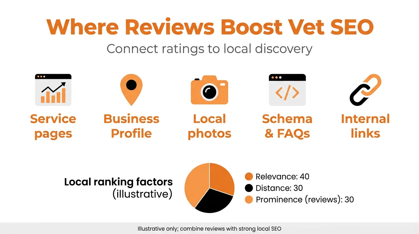 Where Reviews Boost Vet SEO